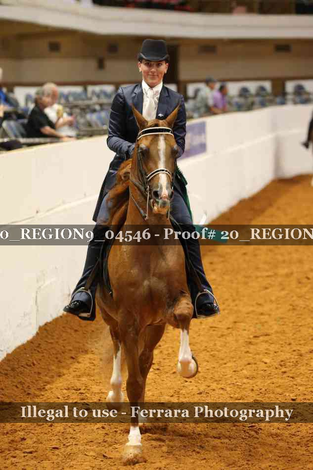 Proof 20_REGION9_04546