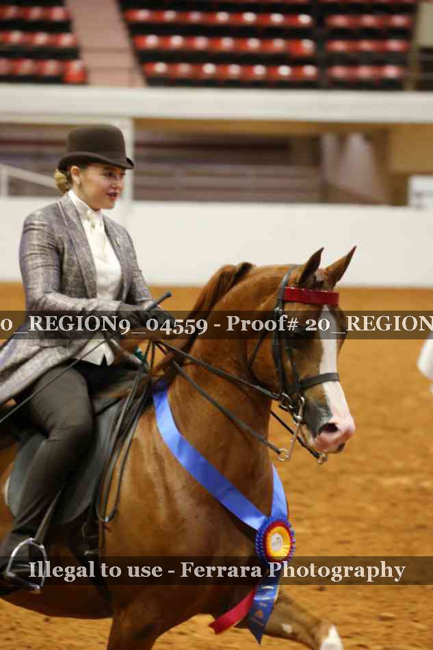 Proof 20_REGION9_04559