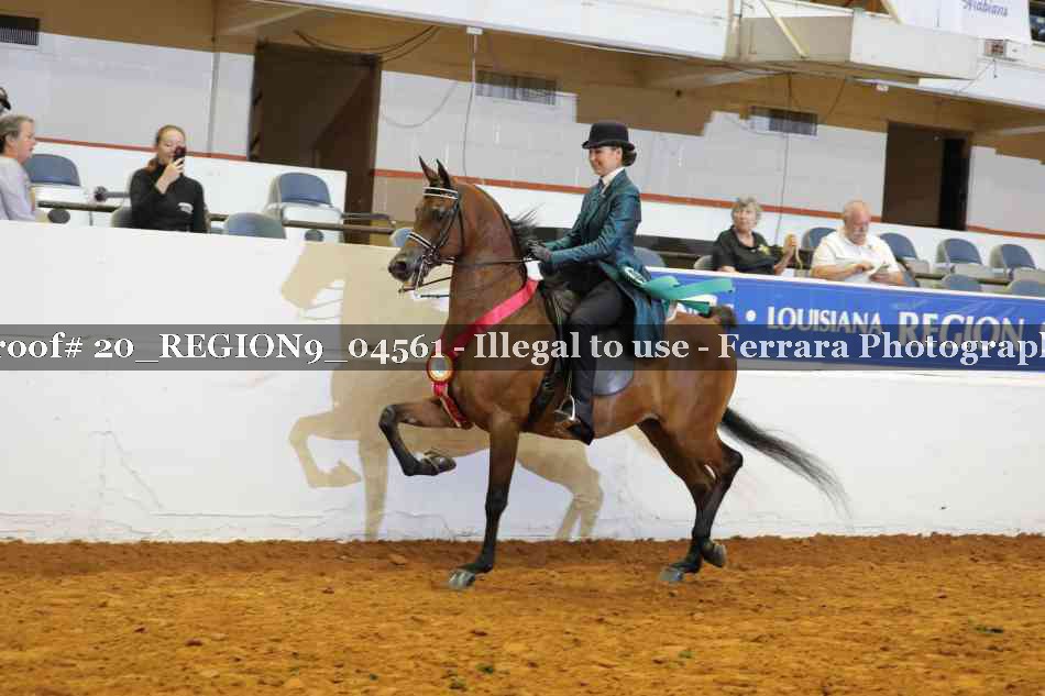 Proof 20_REGION9_04561