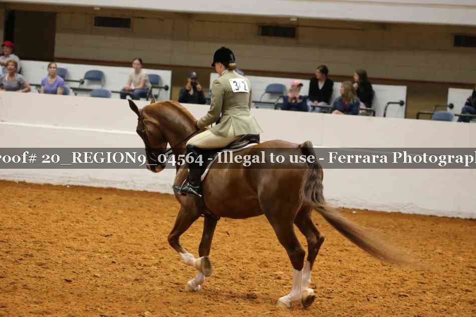 Proof 20_REGION9_04564