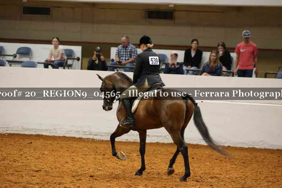 Proof 20_REGION9_04565
