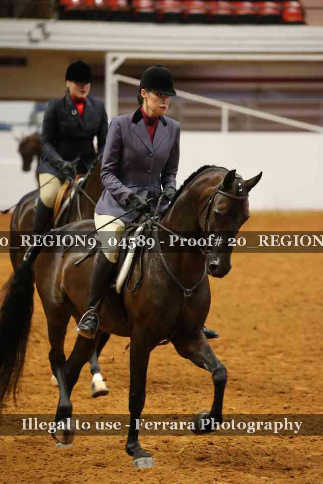 Proof 20_REGION9_04589