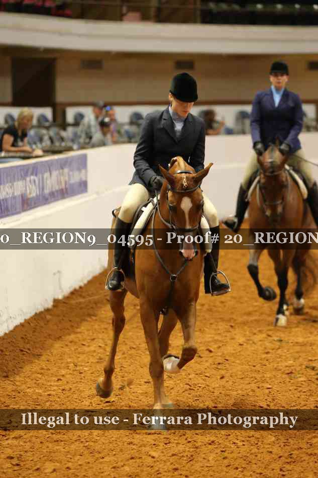 Proof 20_REGION9_04595