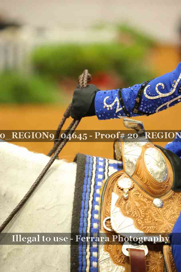 Proof 20_REGION9_04645
