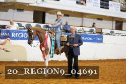 20_REGION9_04691 proof