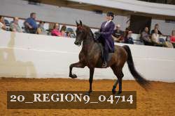 20_REGION9_04714 proof