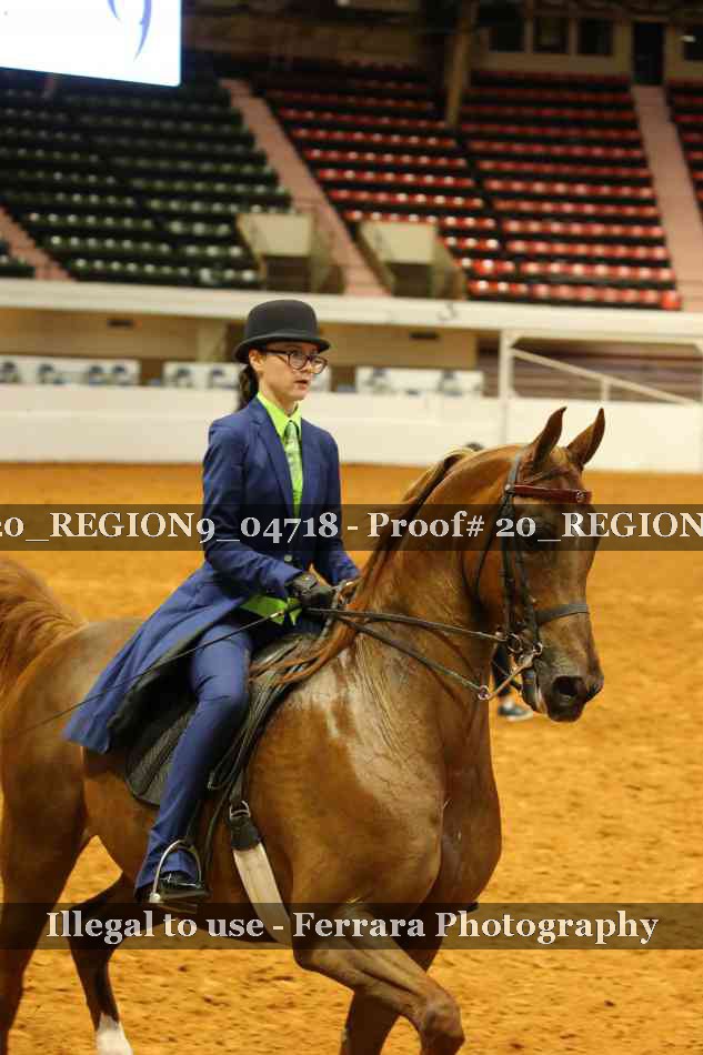 Proof 20_REGION9_04718