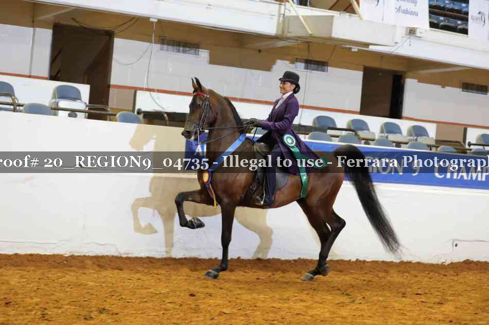 Proof 20_REGION9_04735