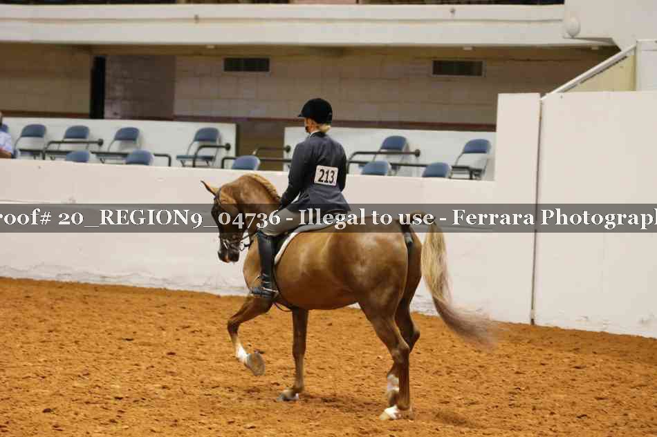 Proof 20_REGION9_04736