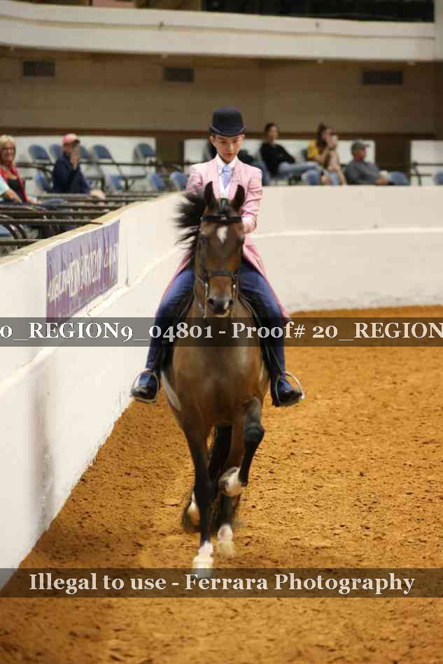 Proof 20_REGION9_04801