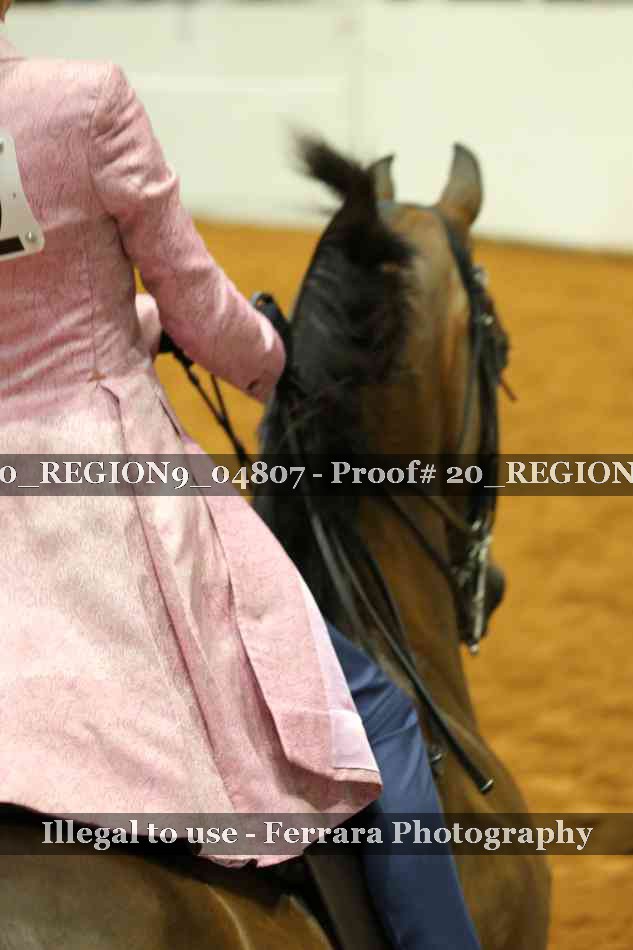 Proof 20_REGION9_04807