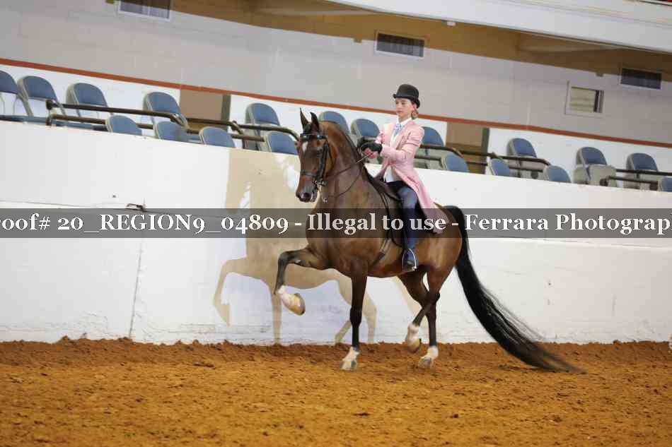 Proof 20_REGION9_04809