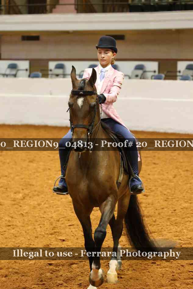 Proof 20_REGION9_04813