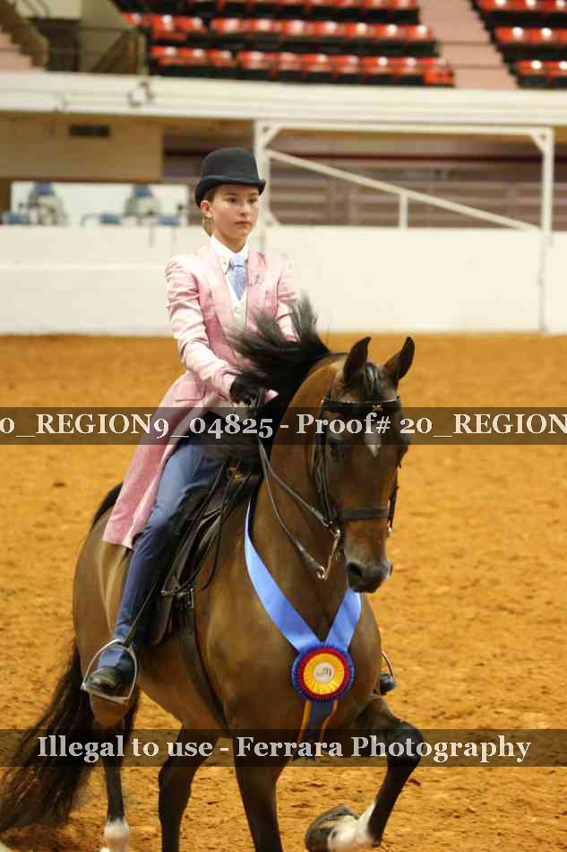 Proof 20_REGION9_04825