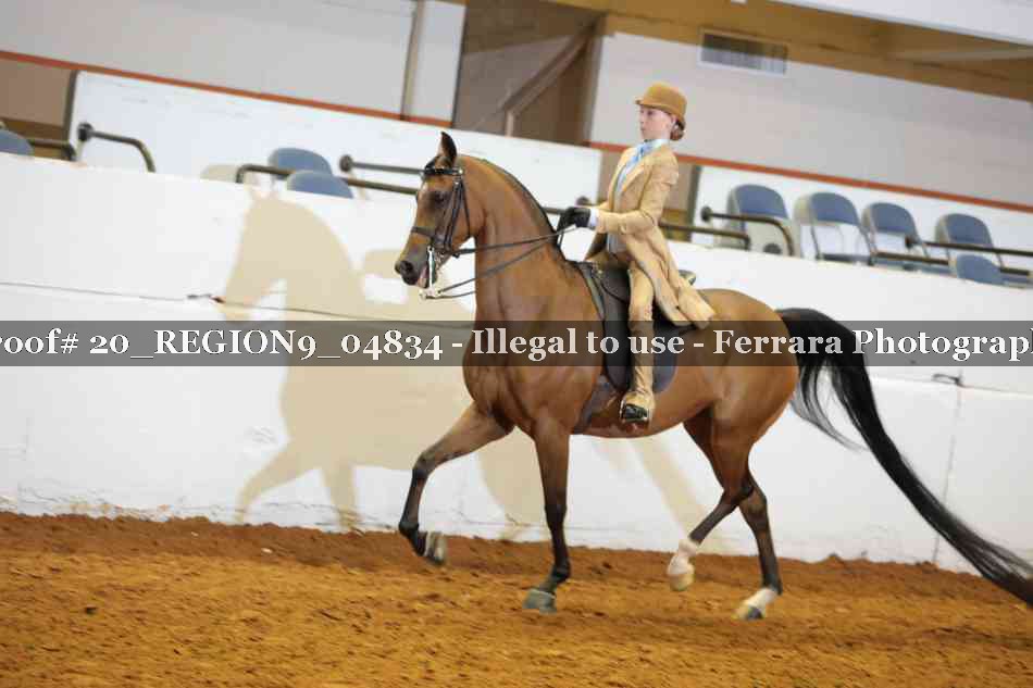 Proof 20_REGION9_04834
