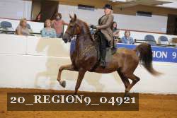 20_REGION9_04921 proof