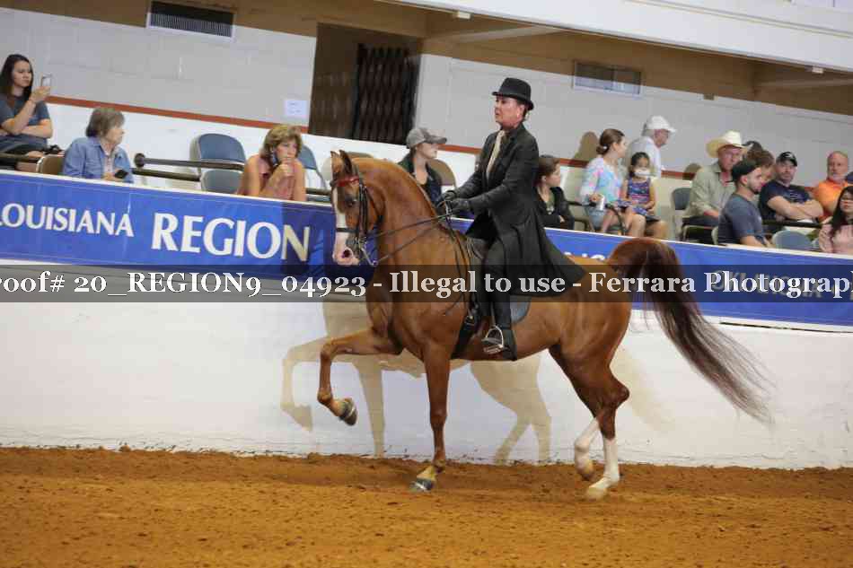 Proof 20_REGION9_04923