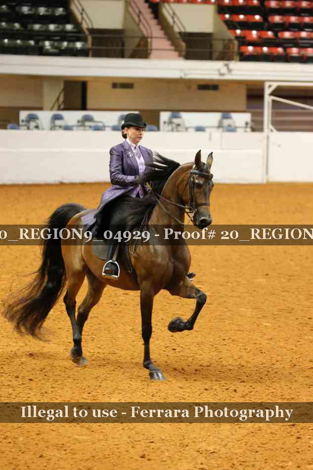 Proof 20_REGION9_04929