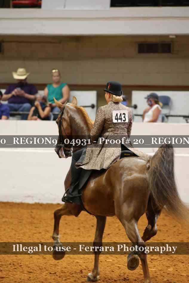 Proof 20_REGION9_04931