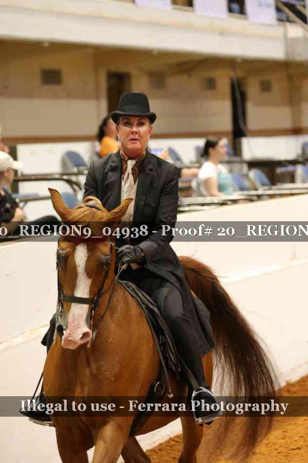 Proof 20_REGION9_04938
