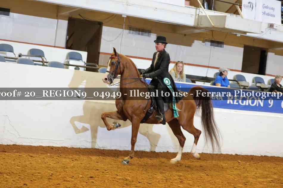 Proof 20_REGION9_04949