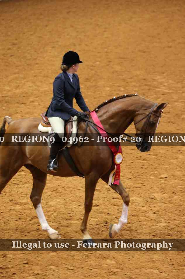 Proof 20_REGION9_04962