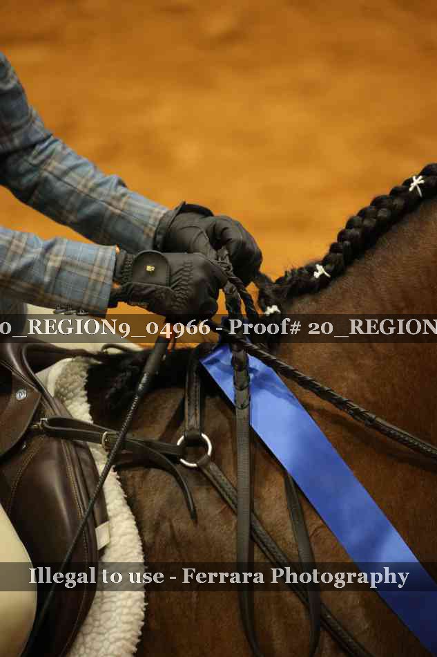 Proof 20_REGION9_04966