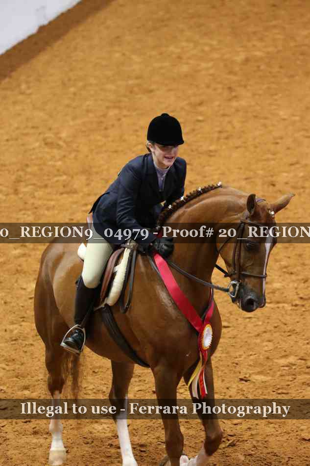 Proof 20_REGION9_04979
