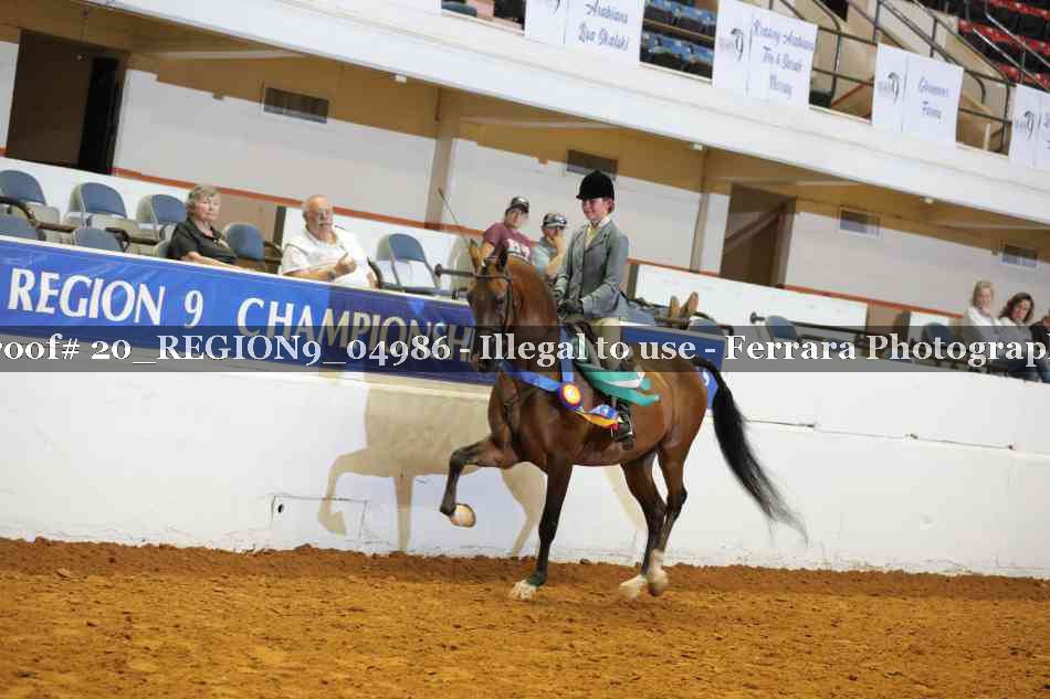 Proof 20_REGION9_04986