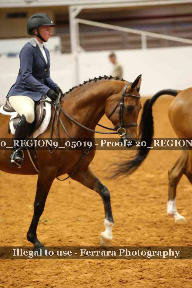 Proof 20_REGION9_05019
