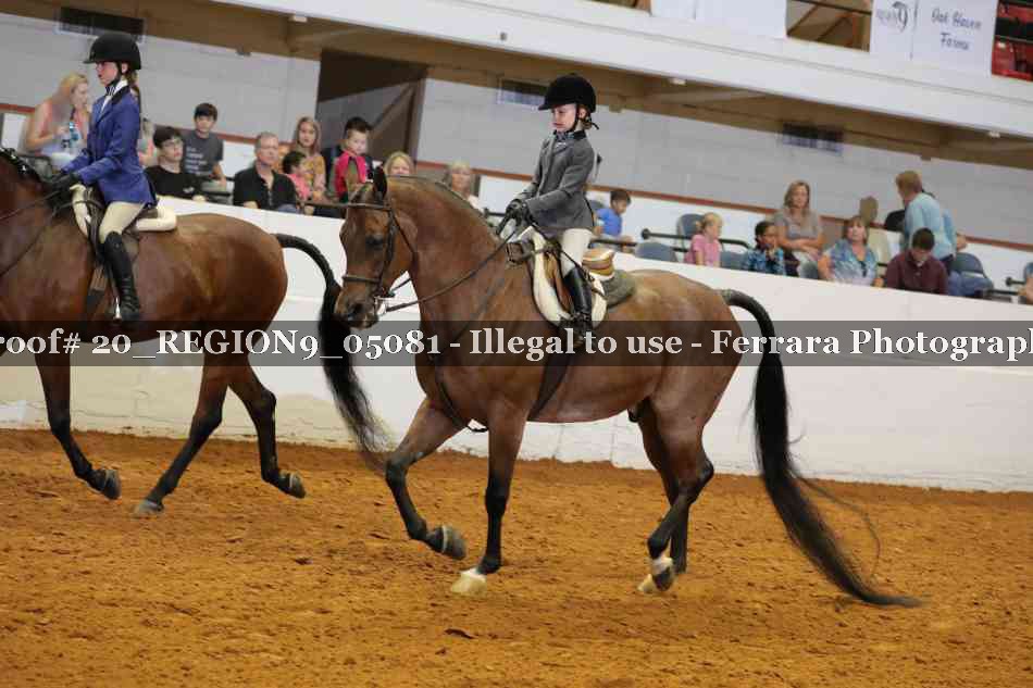 Proof 20_REGION9_05081