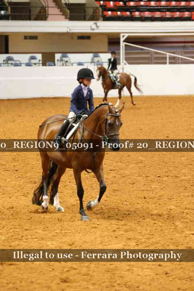 Proof 20_REGION9_05091