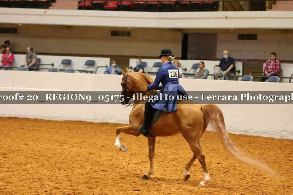 Proof 20_REGION9_05175