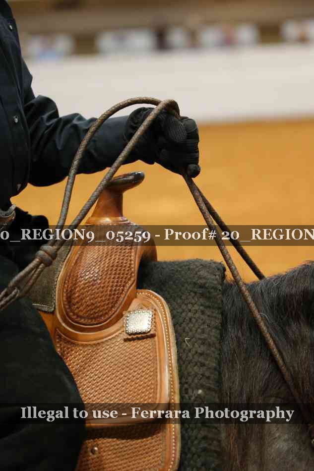 Proof 20_REGION9_05259