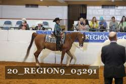 20_REGION9_05291 proof