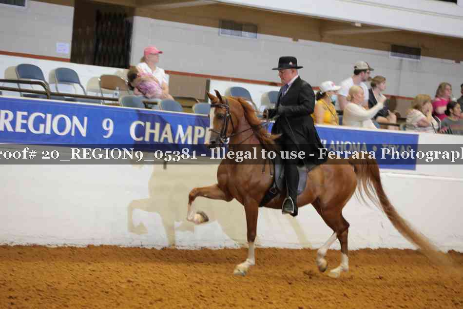 Proof 20_REGION9_05381