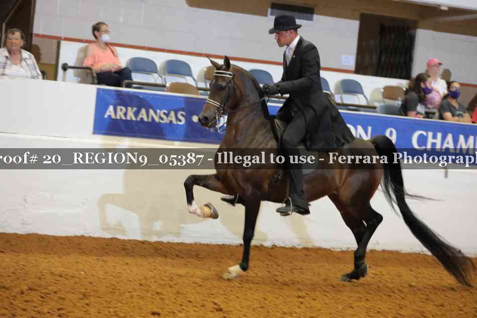 Proof 20_REGION9_05387