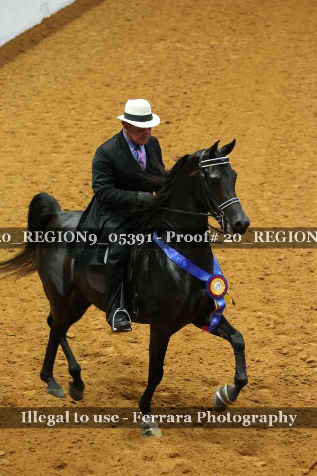 Proof 20_REGION9_05391