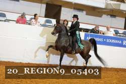 20_REGION9_05403 proof