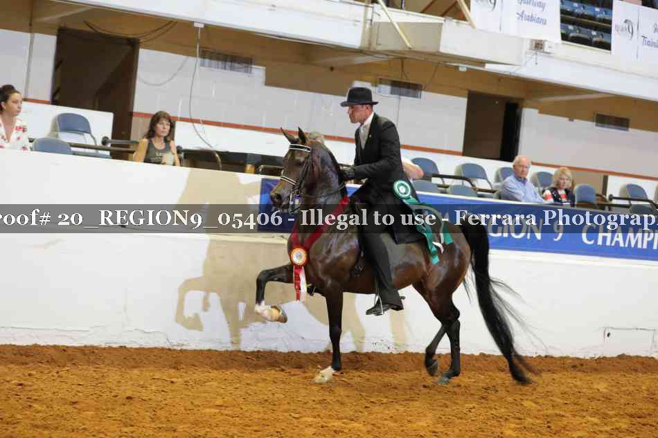Proof 20_REGION9_05406
