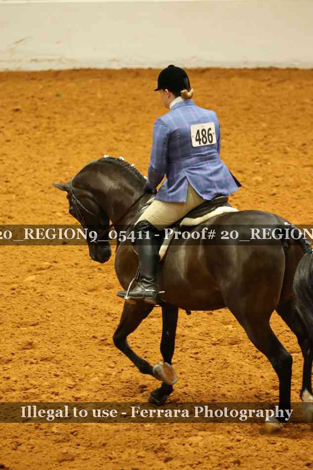 Proof 20_REGION9_05411