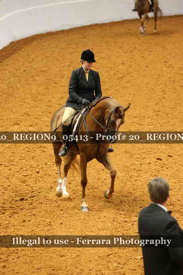 Proof 20_REGION9_05413