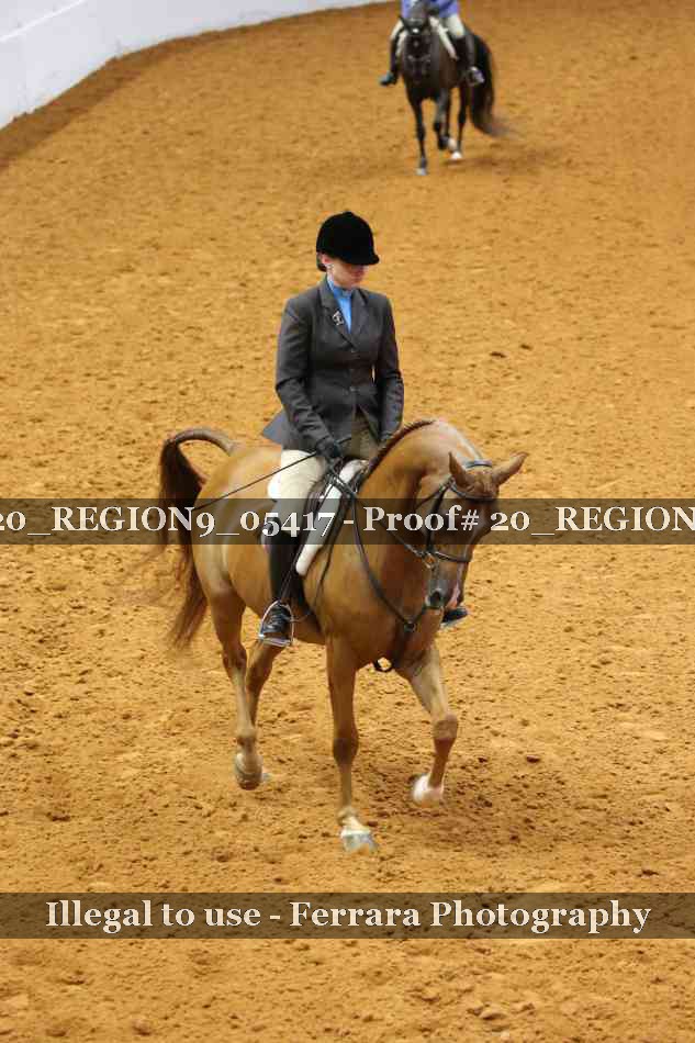 Proof 20_REGION9_05417