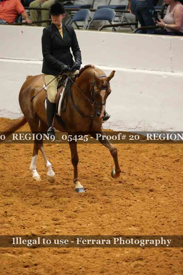 Proof 20_REGION9_05425