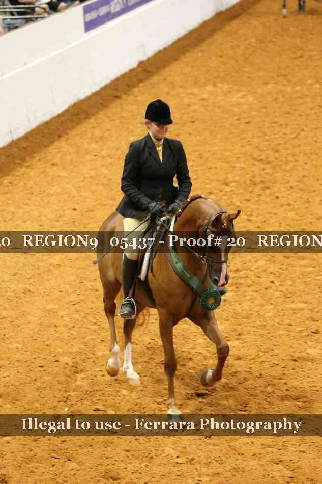 Proof 20_REGION9_05437