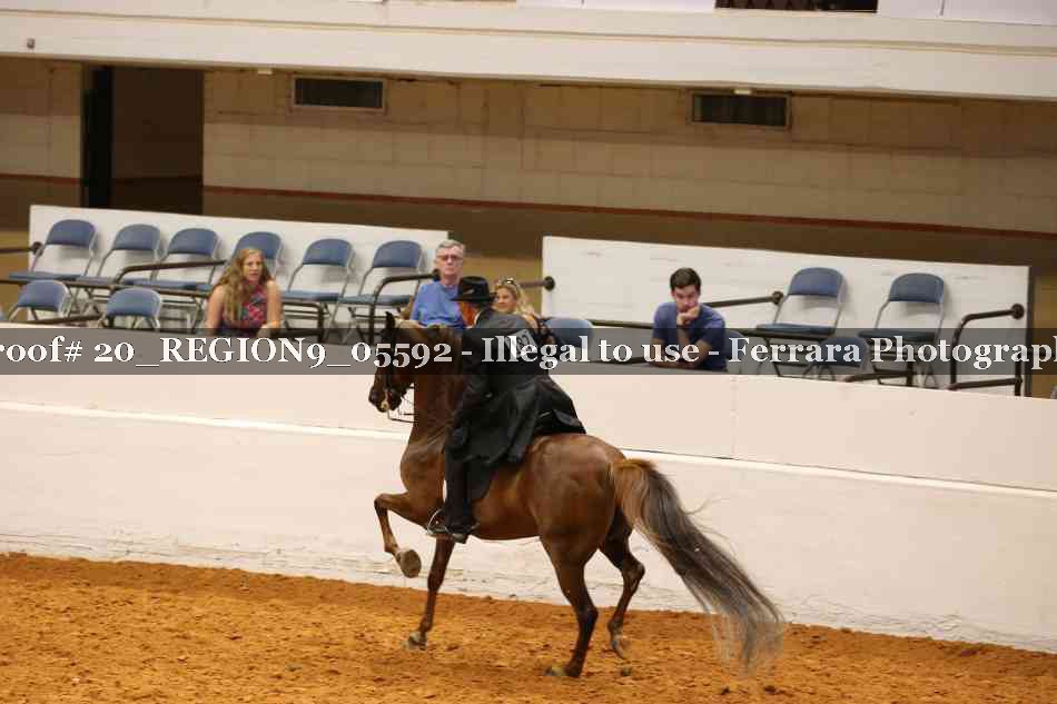 Proof 20_REGION9_05592