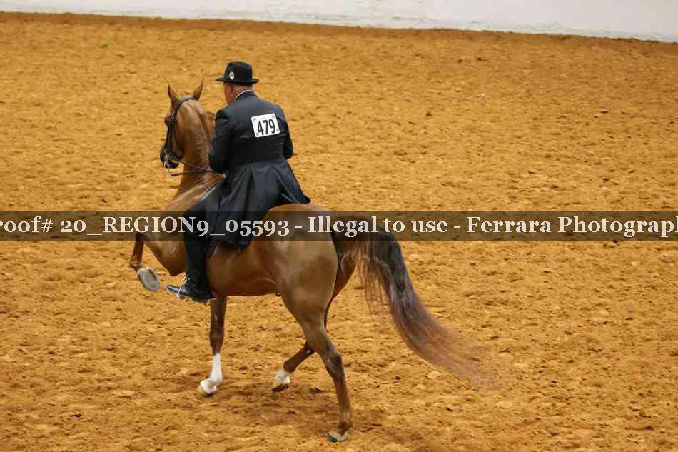 Proof 20_REGION9_05593