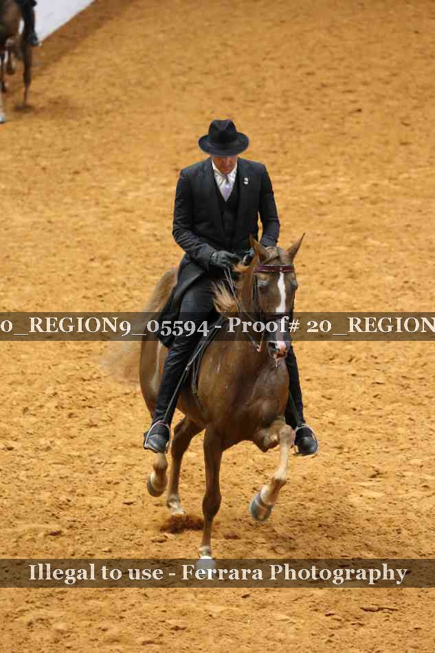 Proof 20_REGION9_05594