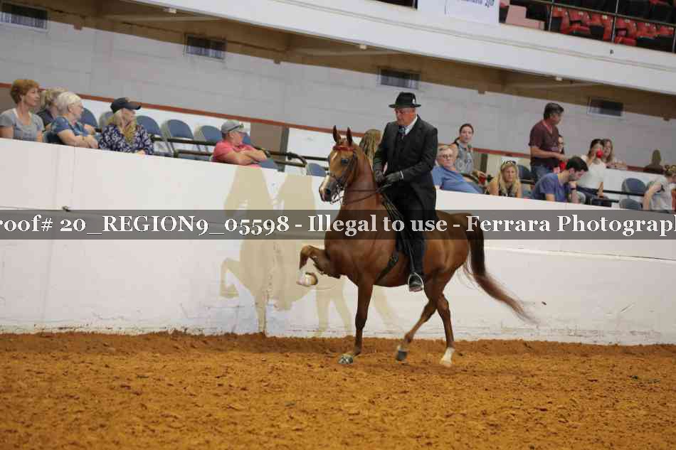 Proof 20_REGION9_05598