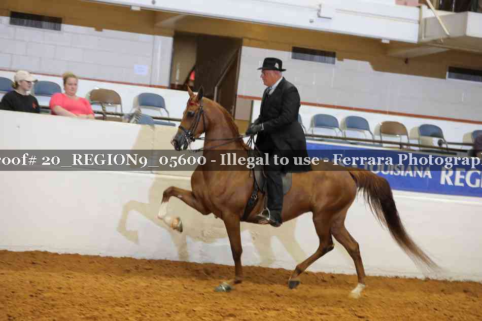 Proof 20_REGION9_05600